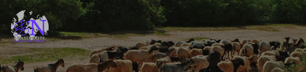 Pastures & Pastoralism